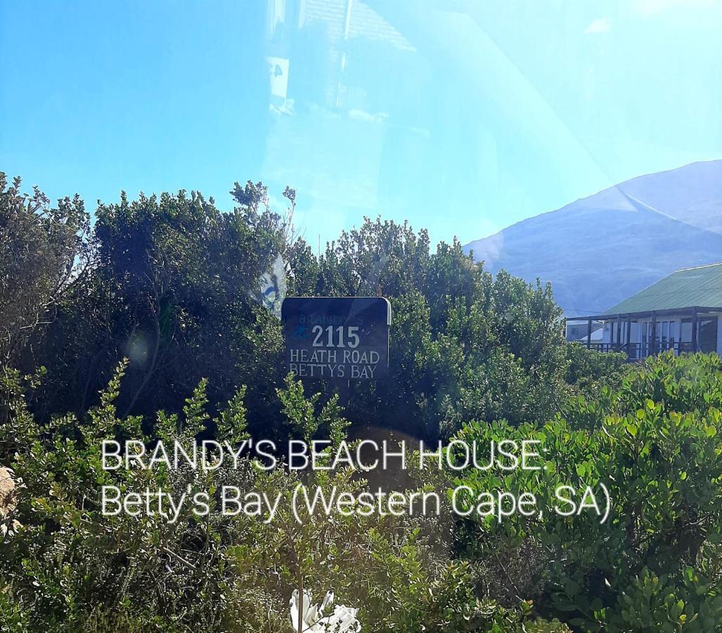 Brandys Beach House Беттис-Бей Экстерьер фото