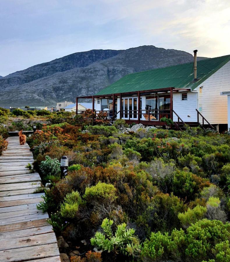 Brandys Beach House Беттис-Бей Экстерьер фото